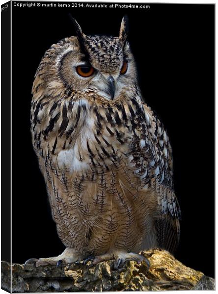  Eagle Owl Canvas Print by Martin Kemp Wildlife