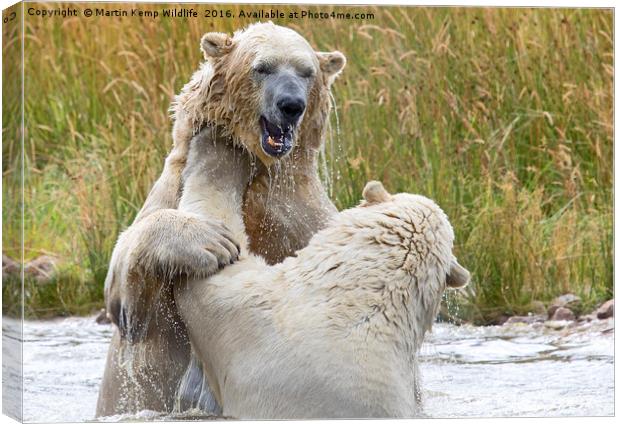 Male Polarbear Playing in Lake Canvas Print by Martin Kemp Wildlife