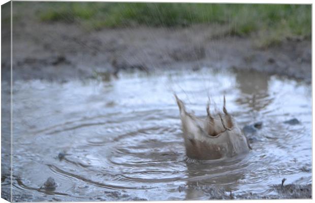 Raindrops keep falling on my head. Canvas Print by hayley inness