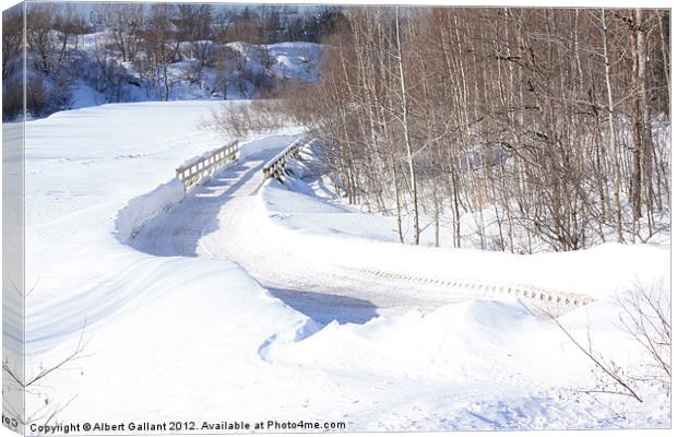 Winter path and bridge Canvas Print by Albert Gallant