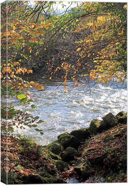 Autumn rapids Canvas Print by Catherine Joanne Watkins