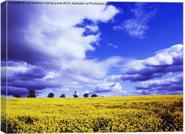 Coombe Abbey Rape Field Canvas Print by carl barbour canvas