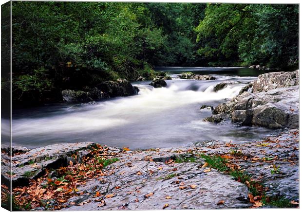 Afon Llugwy Canvas Print by carl barbour canvas