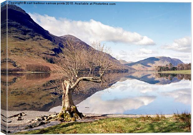  Buttermere Lone Tree Canvas Print by carl barbour canvas