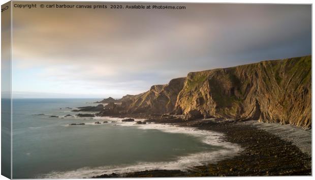 Hartland Quay Canvas Print by carl barbour canvas