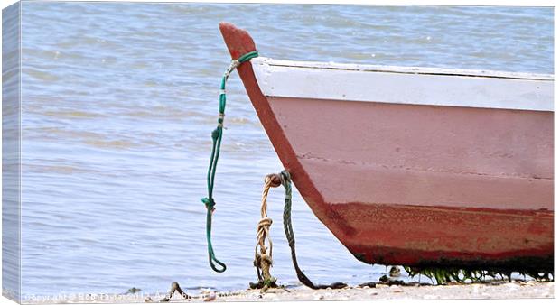 Beached Boat Canvas Print by Rob Taylor