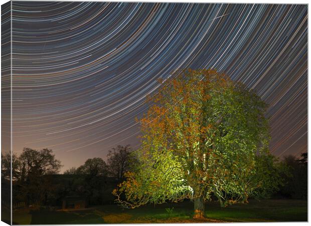 Spinning startrail and Meteor Canvas Print by mark humpage