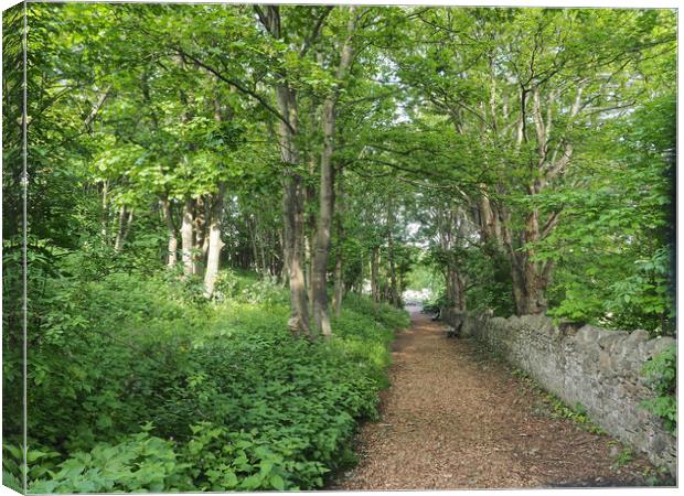 Tree lined path at St Andrews church, Clevedon Canvas Print by mark humpage