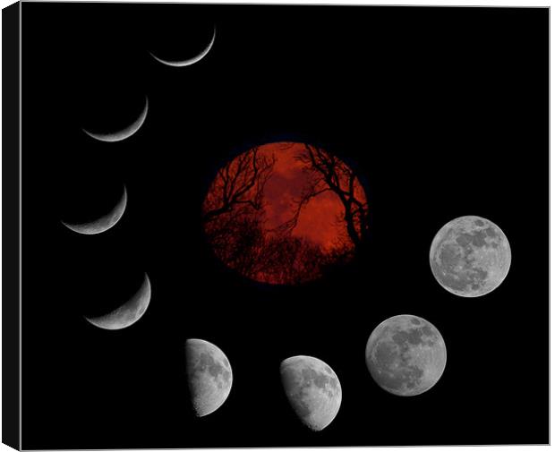 SuperMoon Montage Canvas Print by mark humpage