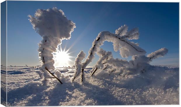 Sunrise frozen arctic Canvas Print by mark humpage