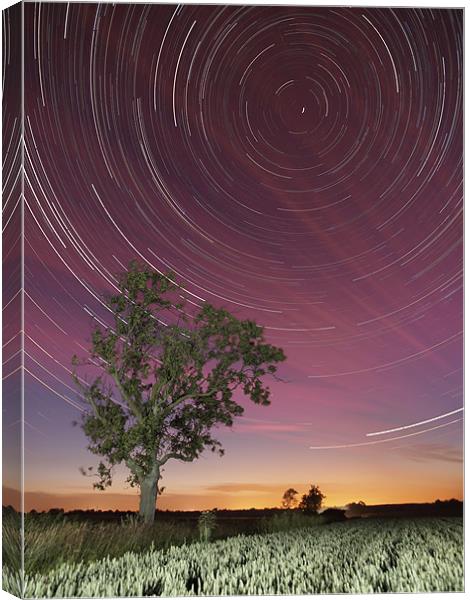 Star trail and tree Canvas Print by mark humpage