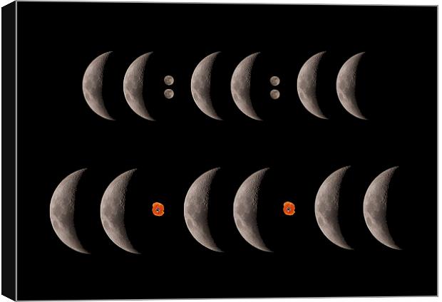  Lunar Remembrance Canvas Print by mark humpage