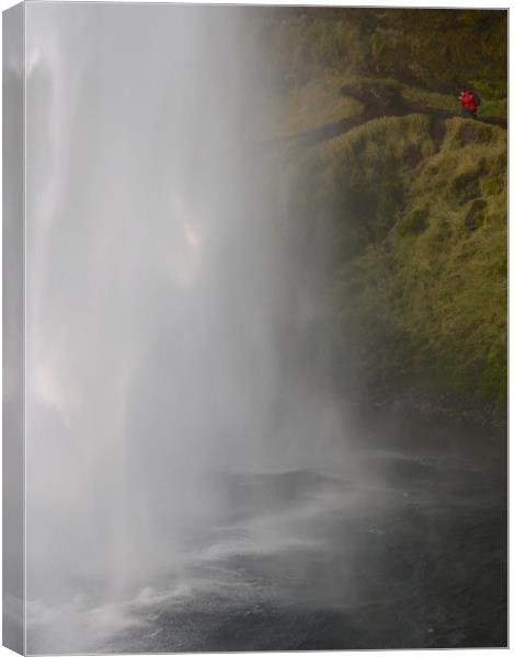 Seljalandsfoss waterfall, Iceland     Canvas Print by mark humpage