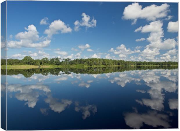 Cloud Reflections Canvas Print by mark humpage