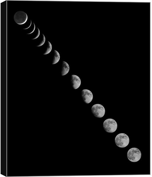 All Moon Phases Canvas Print by mark humpage