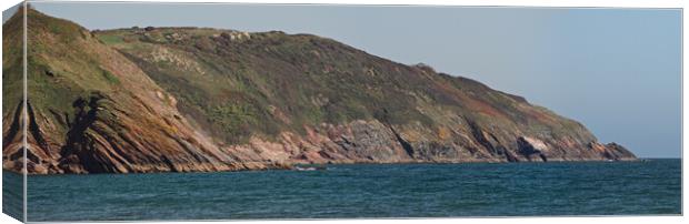 Devon Sea Cliff Canvas Print by mark humpage