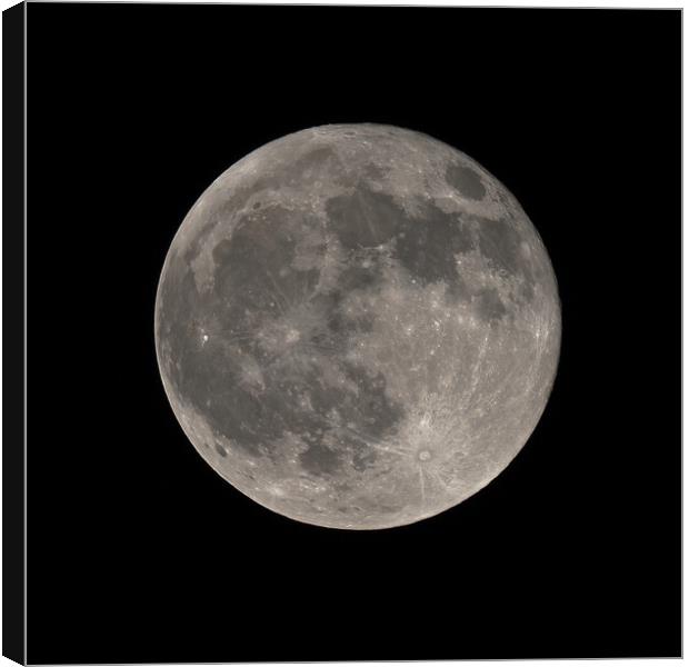 Full moon Canvas Print by mark humpage