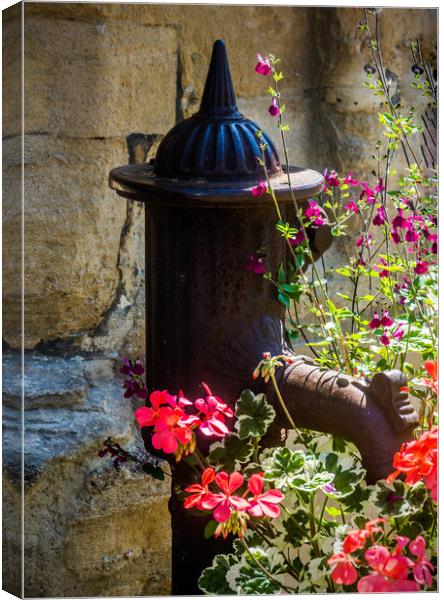 The Old Water Pump Canvas Print by Peter Jarvis
