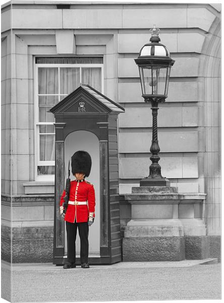 Sentry duty Canvas Print by Peter Jarvis