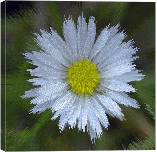 Abstract Daisy Canvas Print by Bill Simpson
