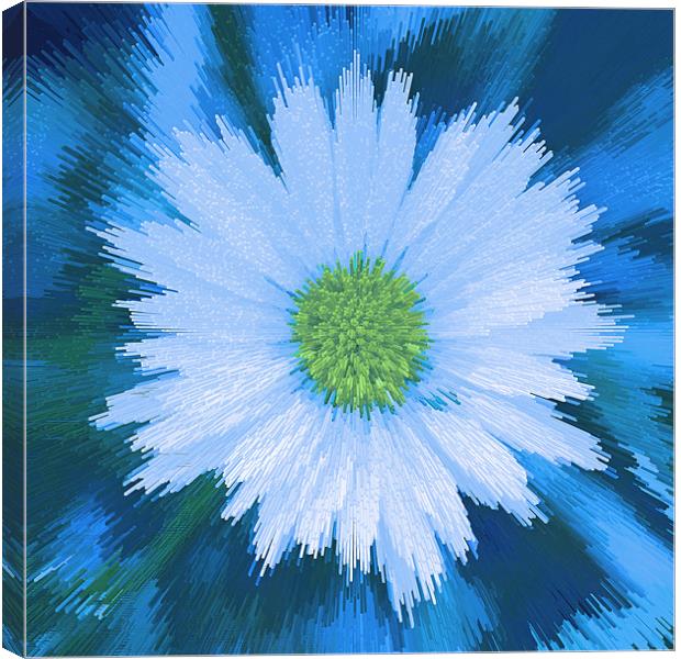Abstract Daisy on blue Canvas Print by Bill Simpson