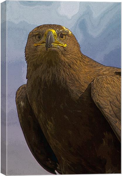 Golden Eagle Portrait with texture Canvas Print by Bill Simpson