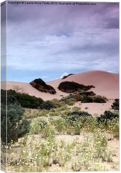 Dunes, Late Afternoon at Mungo Canvas Print by Carole-Anne Fooks