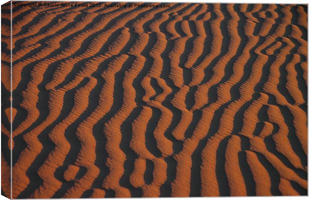 Dune Pattern Canvas Print by Carole-Anne Fooks