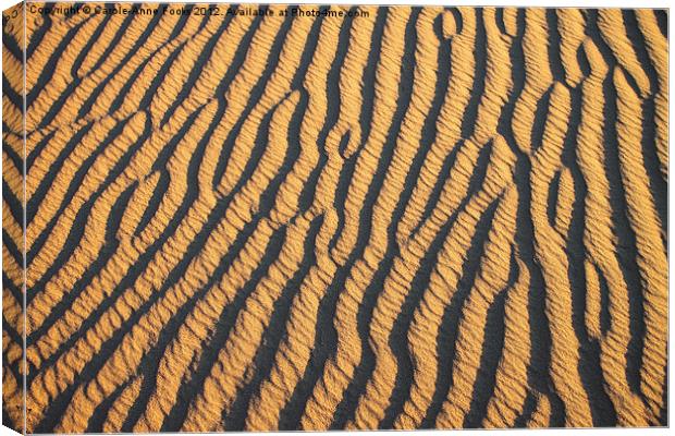 Dune Abstract at Sunrise Canvas Print by Carole-Anne Fooks