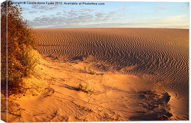 Dune detail after Sunrise Canvas Print by Carole-Anne Fooks