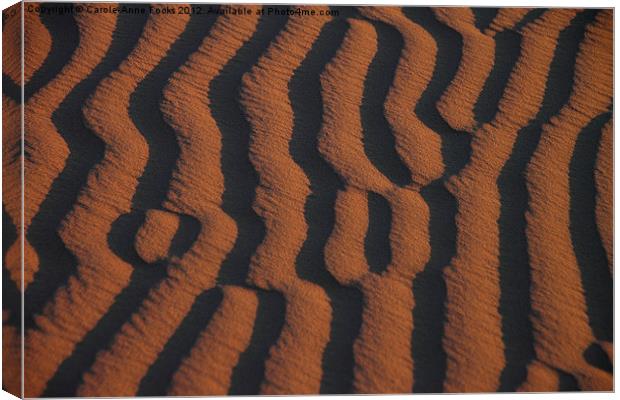 Dune Pattern Detail Canvas Print by Carole-Anne Fooks