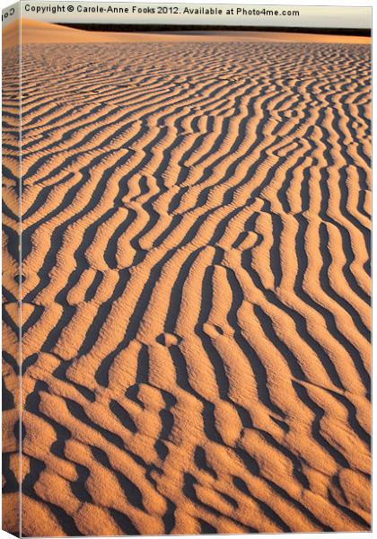 Dunes after Sunrise Canvas Print by Carole-Anne Fooks