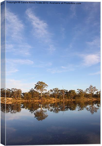 Big Sky Canvas Print by Carole-Anne Fooks