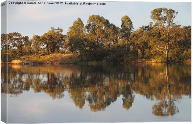 River Murray Reflections Canvas Print by Carole-Anne Fooks