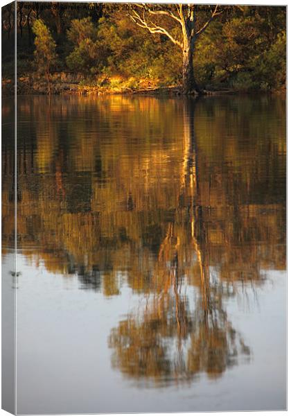 River Reflections Canvas Print by Carole-Anne Fooks
