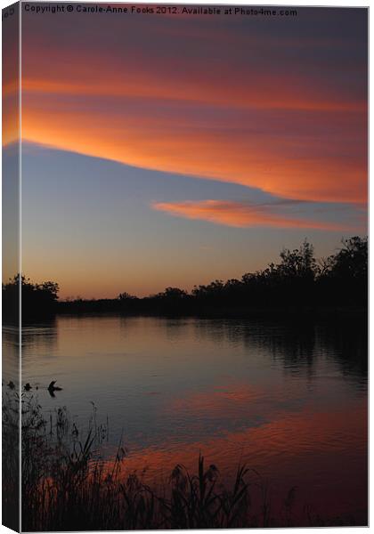 Murray River Sunset Series 1 Canvas Print by Carole-Anne Fooks