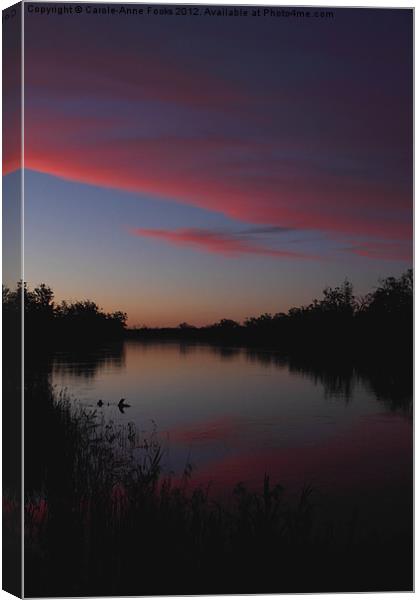 Murray River Sunset Series 1 Canvas Print by Carole-Anne Fooks