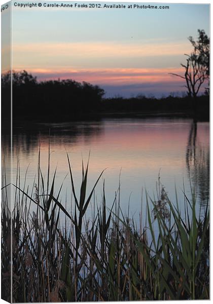 Murray River Sunset Series 2 Canvas Print by Carole-Anne Fooks