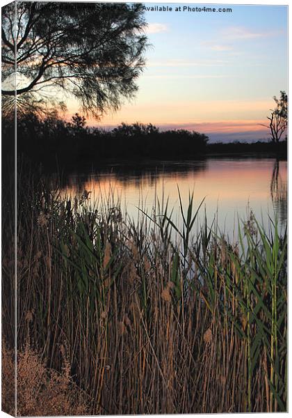 Murray River Sunset Series 2 Canvas Print by Carole-Anne Fooks