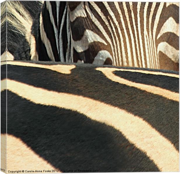 Abstract Zebra Canvas Print by Carole-Anne Fooks