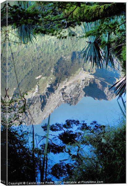 Mirror Lake Two New Zealand Canvas Print by Carole-Anne Fooks