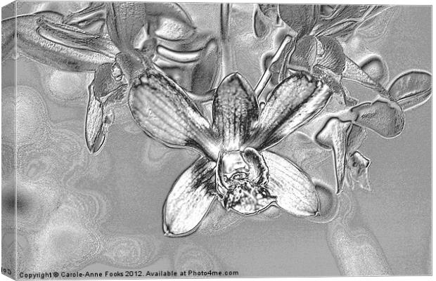 Silver Metalised Orchid Spray Canvas Print by Carole-Anne Fooks