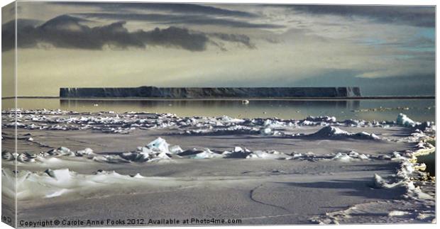 Iceberg in the Ross Sea Antarctica Canvas Print by Carole-Anne Fooks