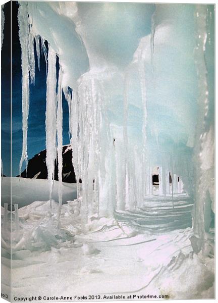 Ice Cave Cape Hallett Antarctica Canvas Print by Carole-Anne Fooks