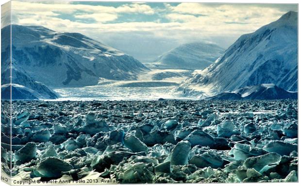 Cape Hallett Antarctica Canvas Print by Carole-Anne Fooks