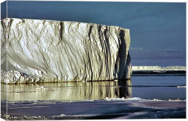 Iceberg Ross Sea Antarctica Canvas Print by Carole-Anne Fooks