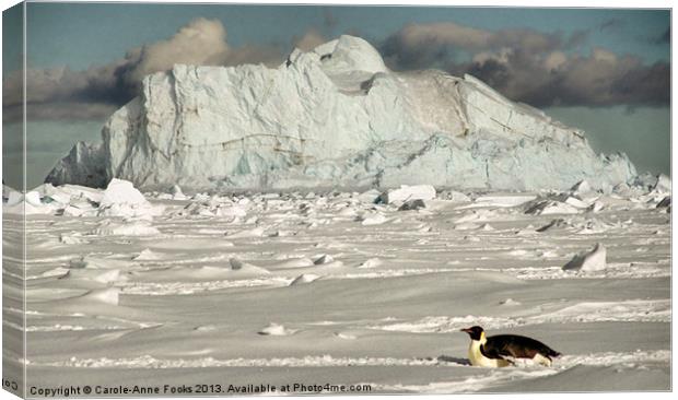 Emperor Penguin Cape Washington Antarctica Canvas Print by Carole-Anne Fooks
