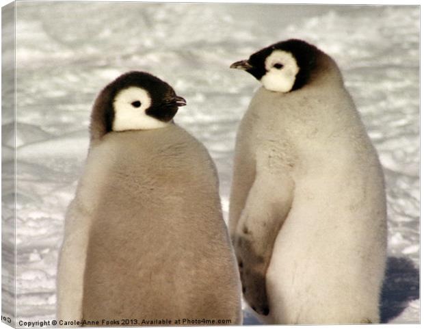Emperor Penguin Chicks Antarctica Canvas Print by Carole-Anne Fooks