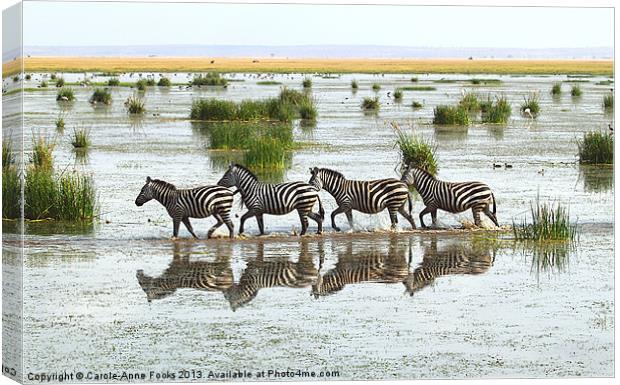 Zebra Crossing Kenya Canvas Print by Carole-Anne Fooks