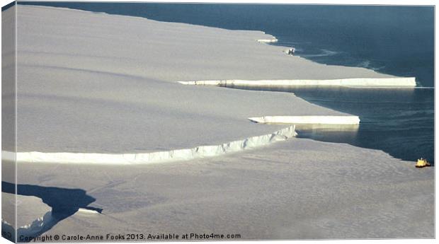 Drygalski Ice Tongue Ross Sea Antarctica Canvas Print by Carole-Anne Fooks